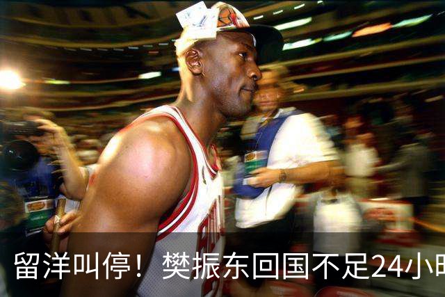 留洋叫停！樊振东回国不足24小时，官宣新身份，总算盼来这一天